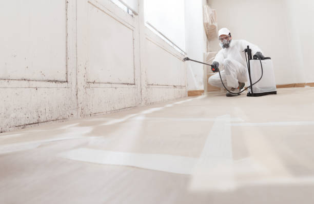 24/7 Emergency Mold Remediation experts in Wellington, TX