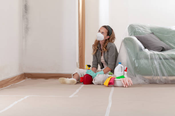 Reliable Mold Remediation contractor in Wellington, TX by 24 Hour Mold Removal